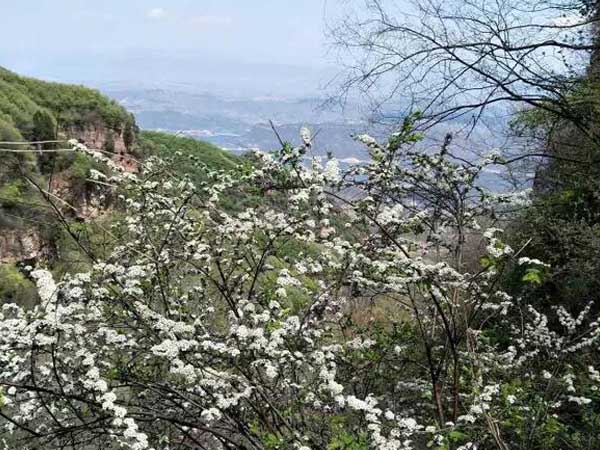 恒恩生物春游踏青游記-黛眉山